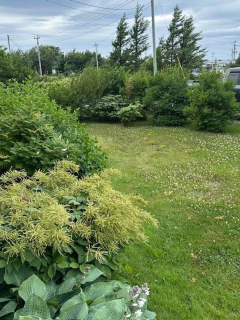 兰开斯特住宿加早餐旅馆 博纳维斯塔 外观 照片